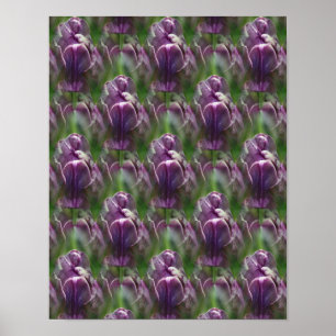 Affiche Motif de la nature des fleurs de tulipe violet