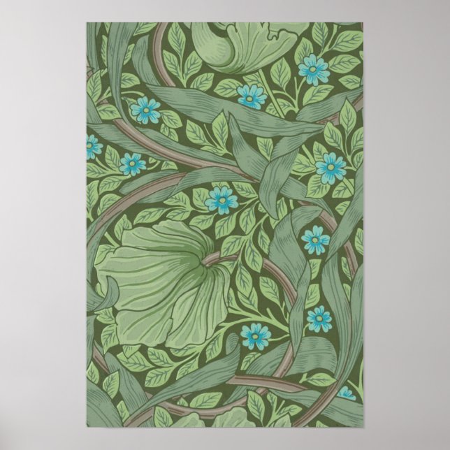 Affiche Motif de papier peint, exemple avec Forget-Me-Nots (Devant)