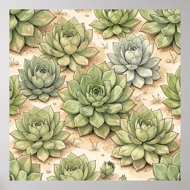 Affiche Motif de rosette de succulente verte (Devant)