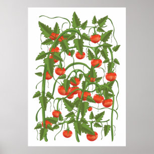 Affiche Motif de tomates
