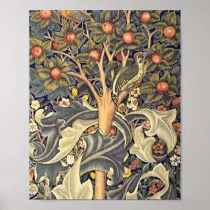Affiche Motif de Woodpecker