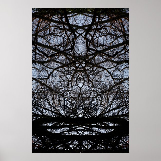 Affiche motif des branches Abstraites (Devant)
