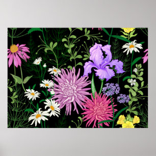 Affiche Motif d'été sans couture. Chamomille des fleurs sa