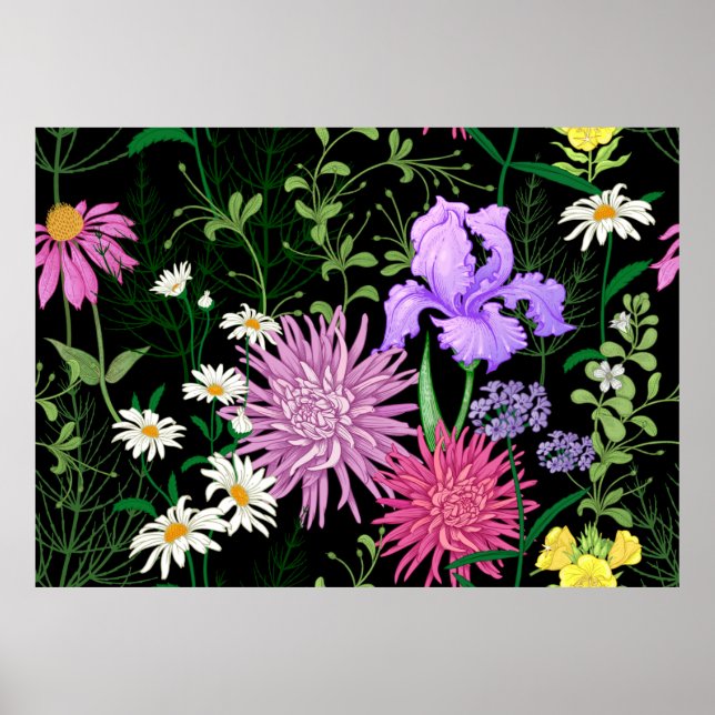 Affiche Motif d'été sans couture. Chamomille des fleurs sa (Devant)