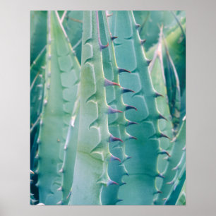 Affiche Motif d'un plante d'Agave