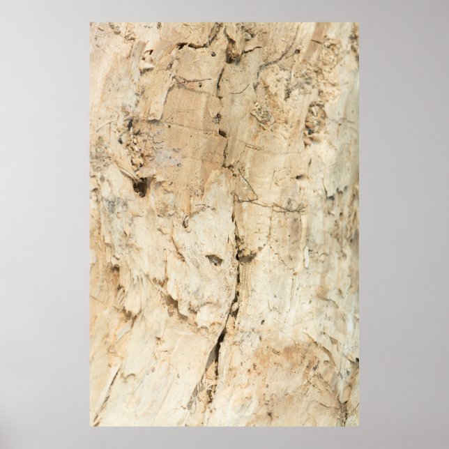 Affiche Motif en bois (Devant)