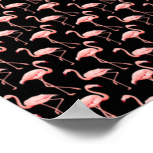 Affiche Motif Flamant Rose Oiseau Tropical Amateur d'Anima