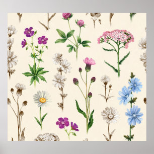 Affiche Motif fleur sauvage aquarelle.