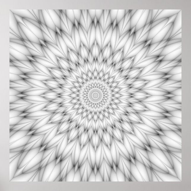 Affiche Motif floral en noir et blanc (Devant)