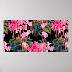 Affiche Motif floral sans couture. Cyclamen rose isolé sur