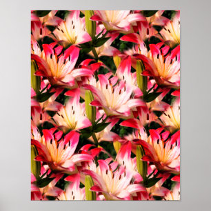 Affiche Motif naturel à fleurs blanches