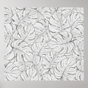 Affiche Motif noir blanc Feuille Monstera