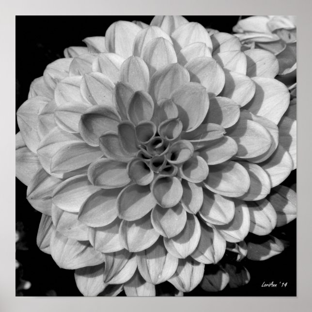 Affiche Motif pétal (Devant)