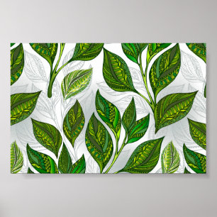 Affiche Motif sans couture avec Feuilles de thé vert