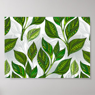 Affiche Motif sans couture avec Feuilles de thé vert
