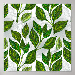Affiche Motif sans couture avec Feuilles de thé vert