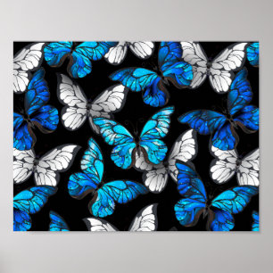 Affiche Motif sans couture foncé avec papillons bleus Morp