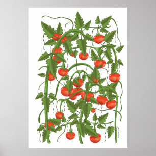 Affiche Motif Tomates