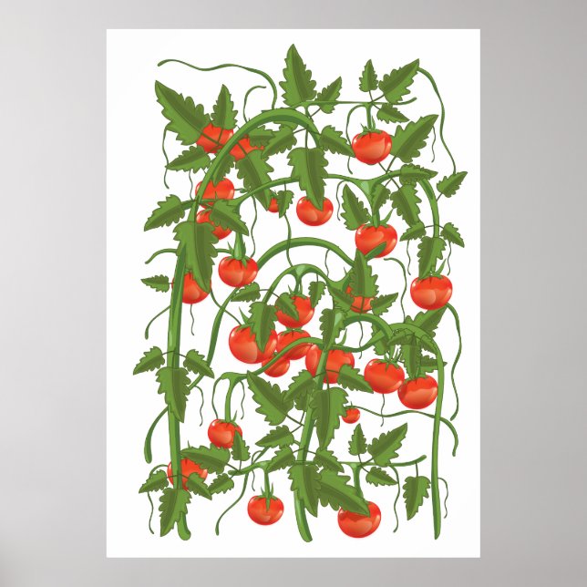 Affiche Motif Tomates (Devant)