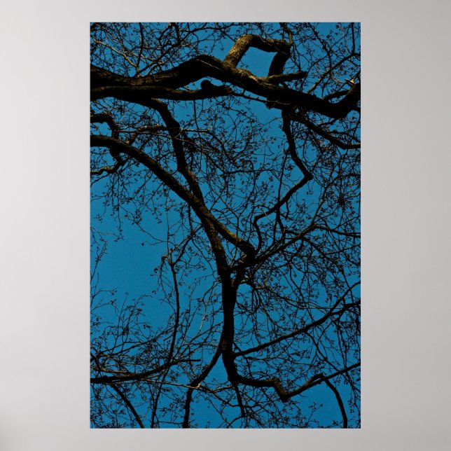 Affiche Motifs dans le ciel (Devant)