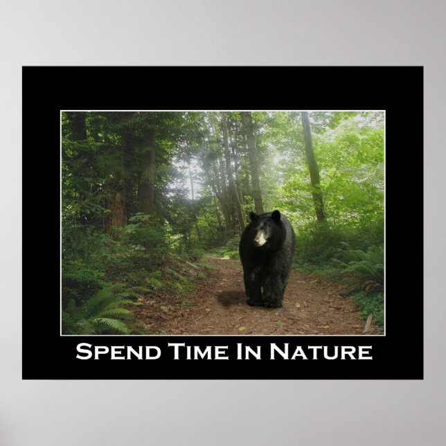 AFFICHE MOTIVANTE DU SENTIER DE L'OURS NOIR (Devant)