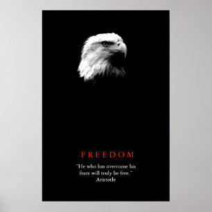 Affiche motivante liberté aigle chauve noir blanc