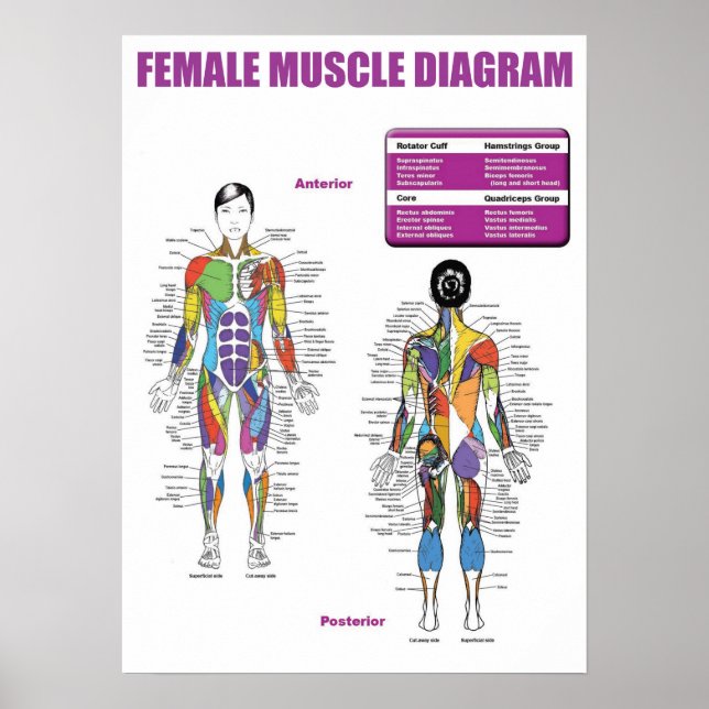 Affiche Motivation de l'entraînement (Devant)