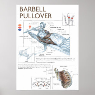 Affiche Motivation de l'entraînement