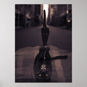 Affiche Motivation de l'état d'esprit du chat noir et de l