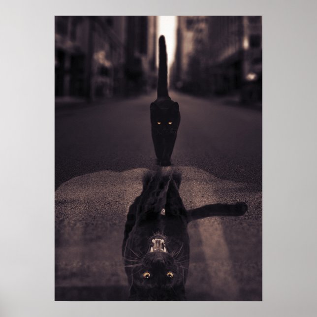 Affiche Motivation de l'état d'esprit du chat noir et de l (Devant)
