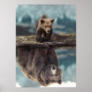 Affiche Motivation de l'ours grizzli - Succès