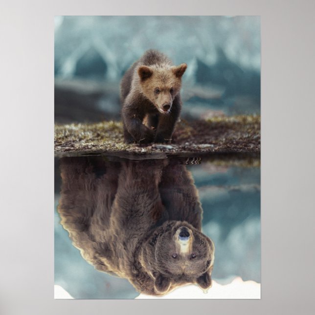 Affiche Motivation de l'ours grizzli - Succès (Devant)