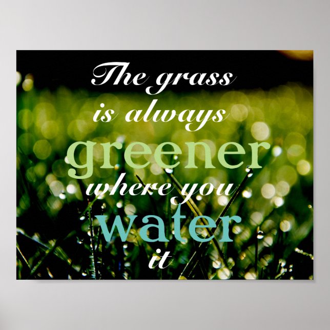 Affiche Motivational| Grass is greener where you water it (Devant)