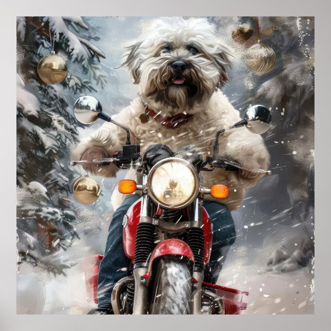 Affiche Moto à chiens Havanais Noël (Devant)