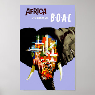 Affiche Mouche de ~ de l'Afrique là