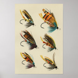 Affiche Mouches de saumon 30 à 35 Vintage