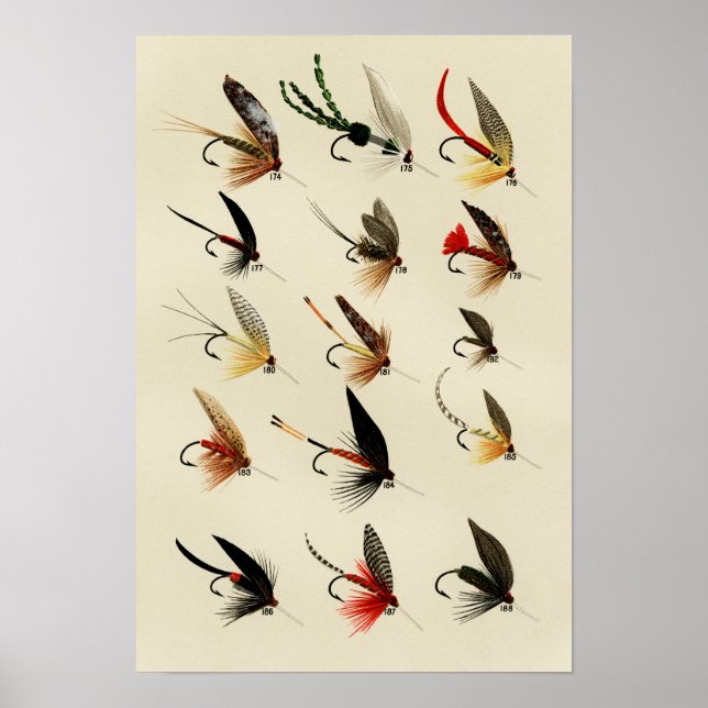 Affiche Mouches de truite 174 à 188 Vintage (Devant)