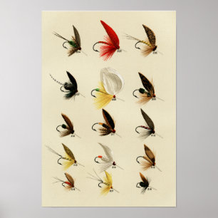 Affiche Mouches de truite 204 à 218 Vintage