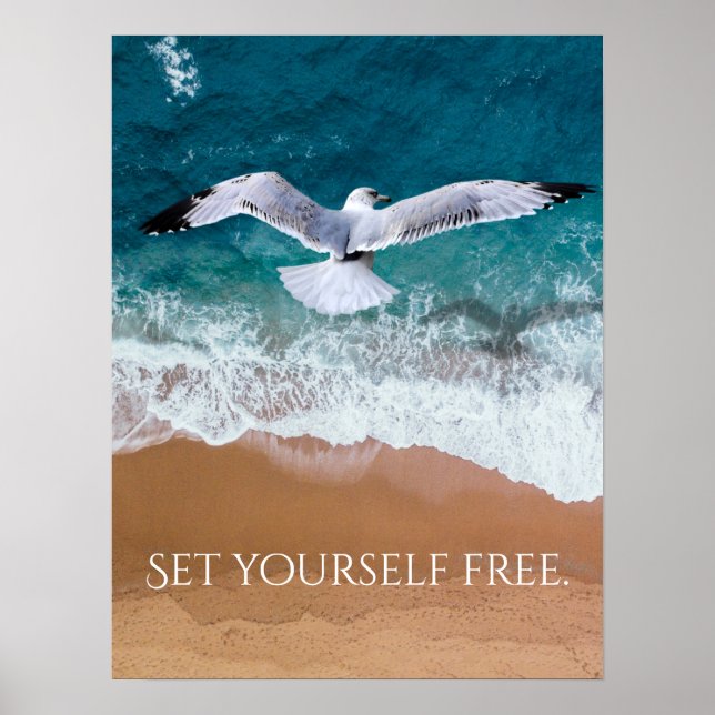 Affiche Mouette au-dessus de la mer (Devant)