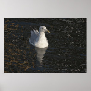 Affiche Mouette flottante