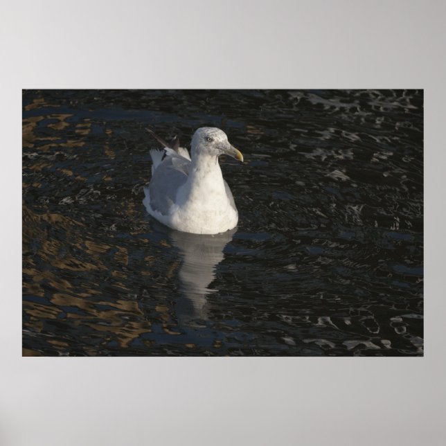 Affiche Mouette flottante (Devant)
