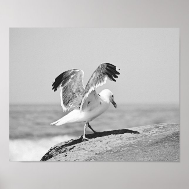 Affiche Mouette marine sur la plage Rochers noir et blanc  (Devant)