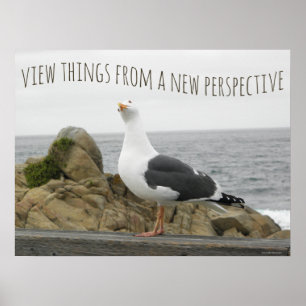 Affiche Mouette oiseau citation nouvelle perspective motiv