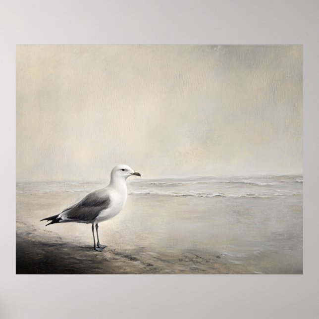 Affiche Mouette Solitaire au Bord de la Côte (Devant)