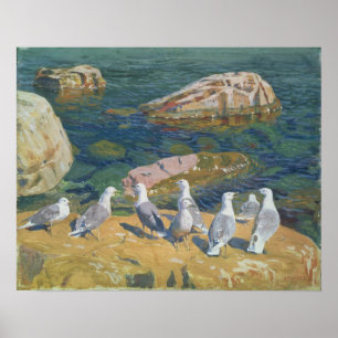 Affiche Mouettes, 1910