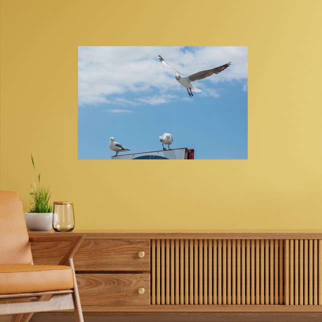 Affiche Mouettes Assises Volant Oiseaux Ciel Bleu (Salon 2)