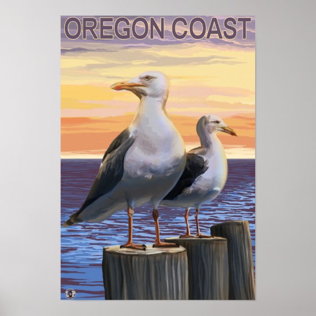 Affiche Mouettes de la côte de l'Oregon (Devant)