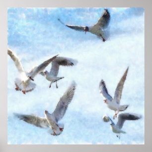 Affiche Mouettes en aquarelle de vol