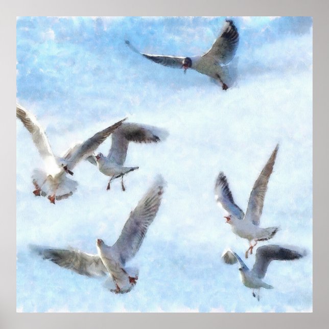 Affiche Mouettes en aquarelle de vol (Devant)