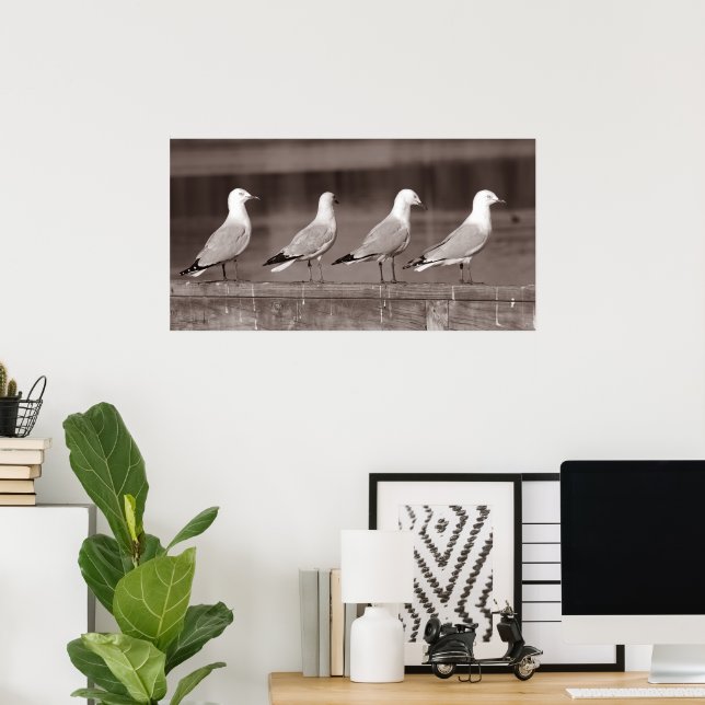 Affiche Mouettes en rangs (Bureau à domicile)